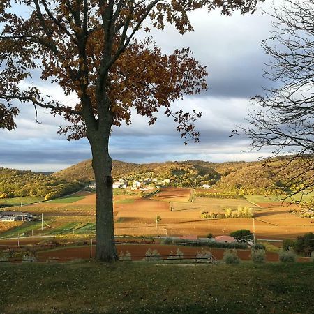 Paglia E Fieno Bed & Breakfast Villaga Eksteriør bilde