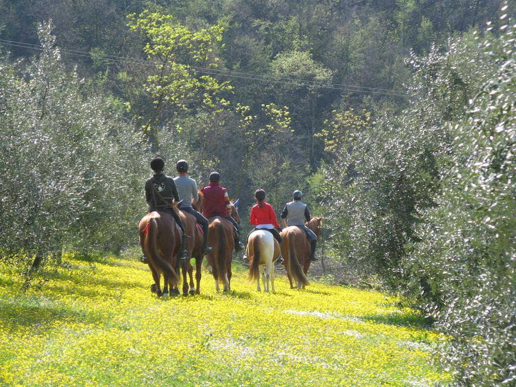 Paglia E Fieno Bed & Breakfast Villaga Eksteriør bilde