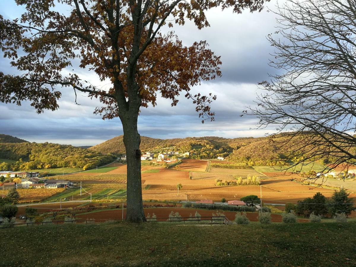 Paglia E Fieno Bed & Breakfast Villaga Eksteriør bilde