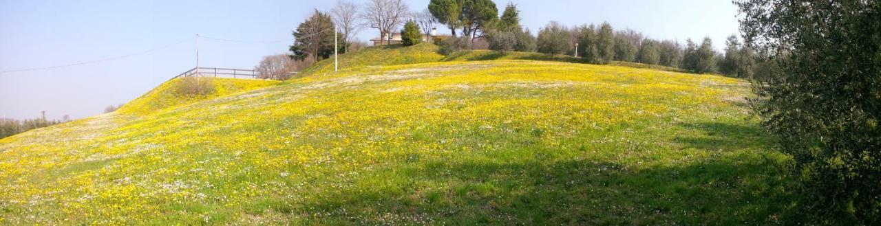 Paglia E Fieno Bed & Breakfast Villaga Eksteriør bilde
